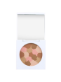 bronzing powder