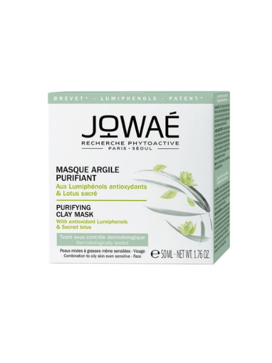 mascarilla de arcilla purificante