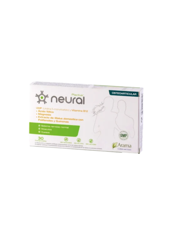neural