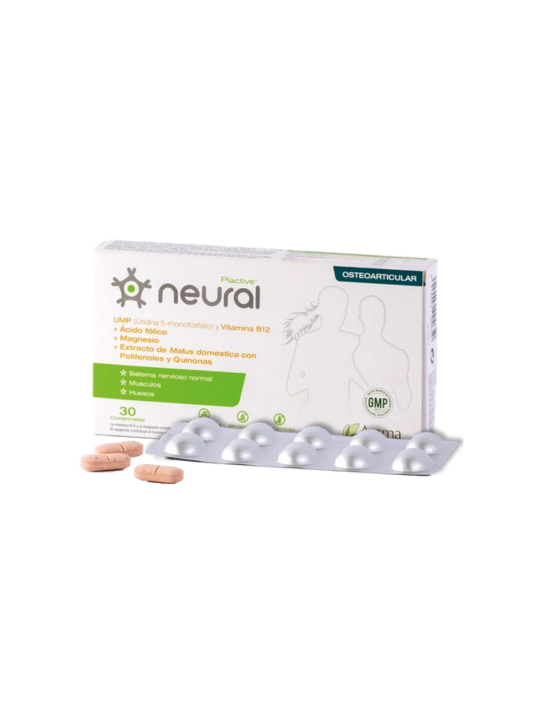 neural