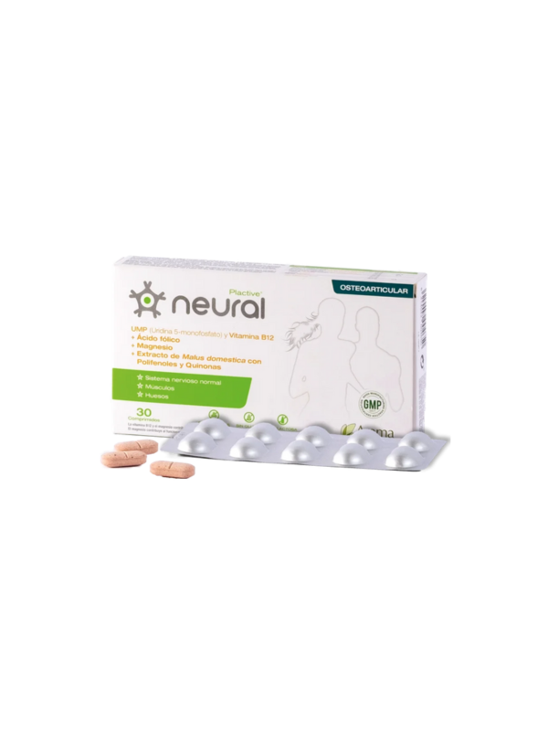 neural