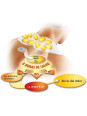 Thermacare Neck Patches 6
